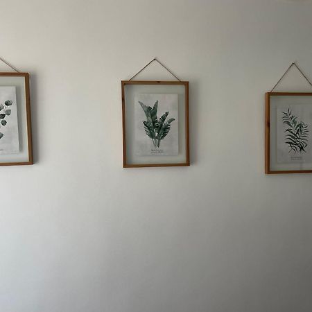 Carmen12 Apartment Xàtiva Екстериор снимка